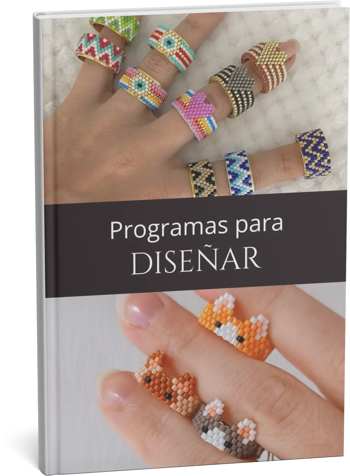 Bonus 4: Programas para Diseñar